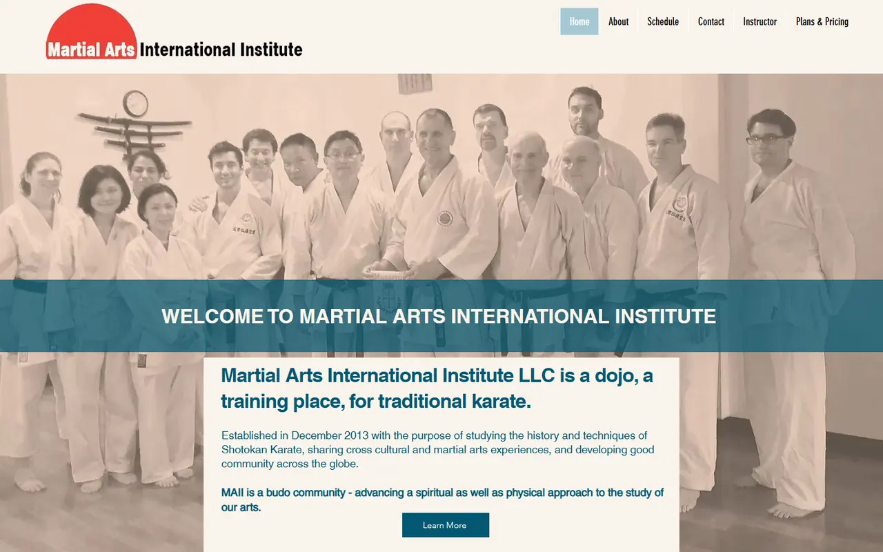 Martial Arts International Institute website screenshot