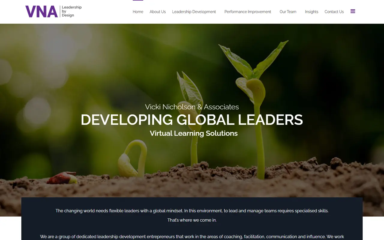 VNA — Vicki Nicholson & Associates website screenshot